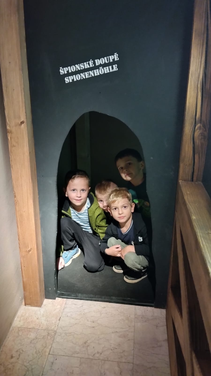 207bd6ad-70fd-452f-9367-7489c7bf0088