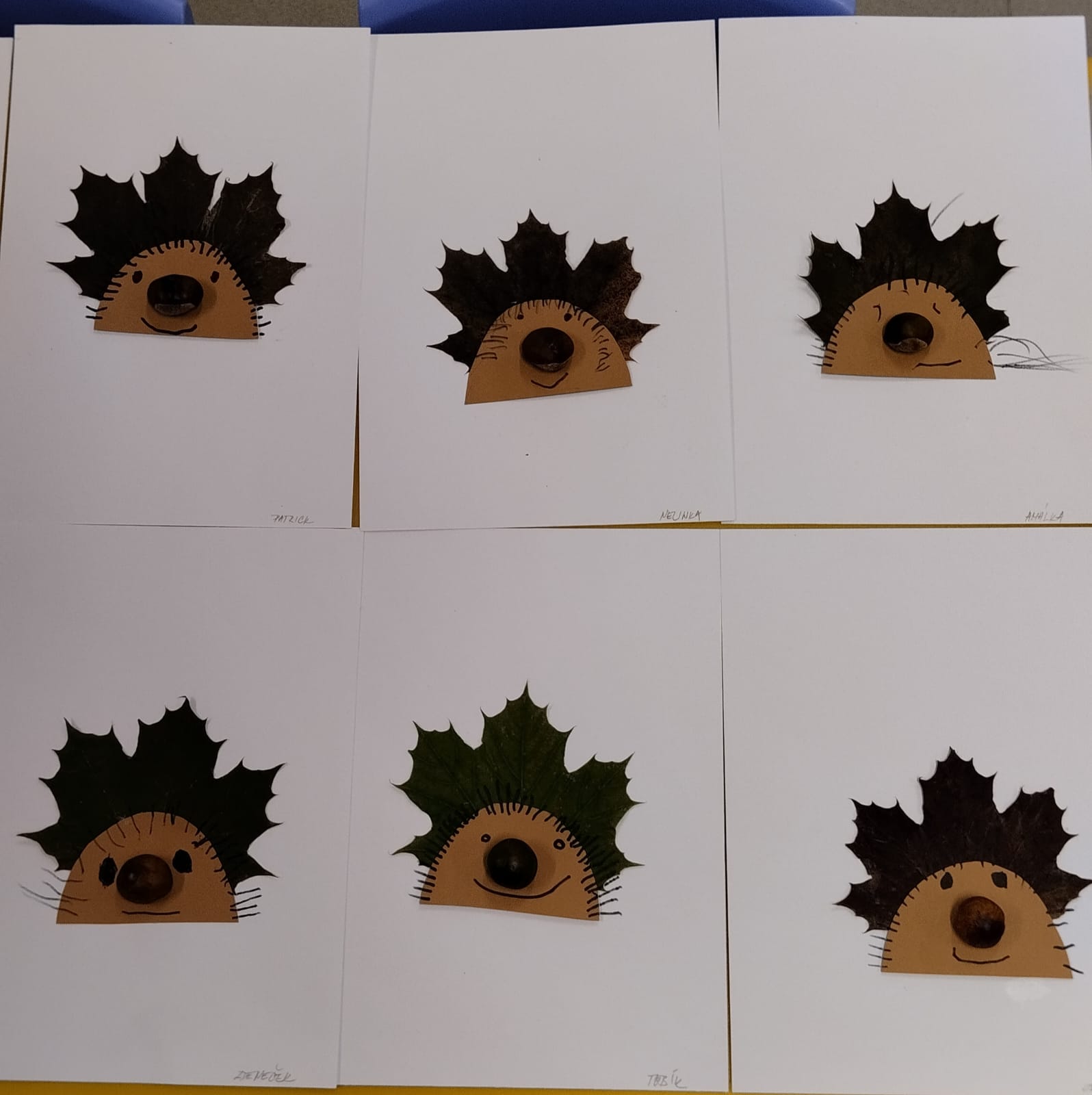 05a7c5ad-32f1-4606-be65-60906335946d