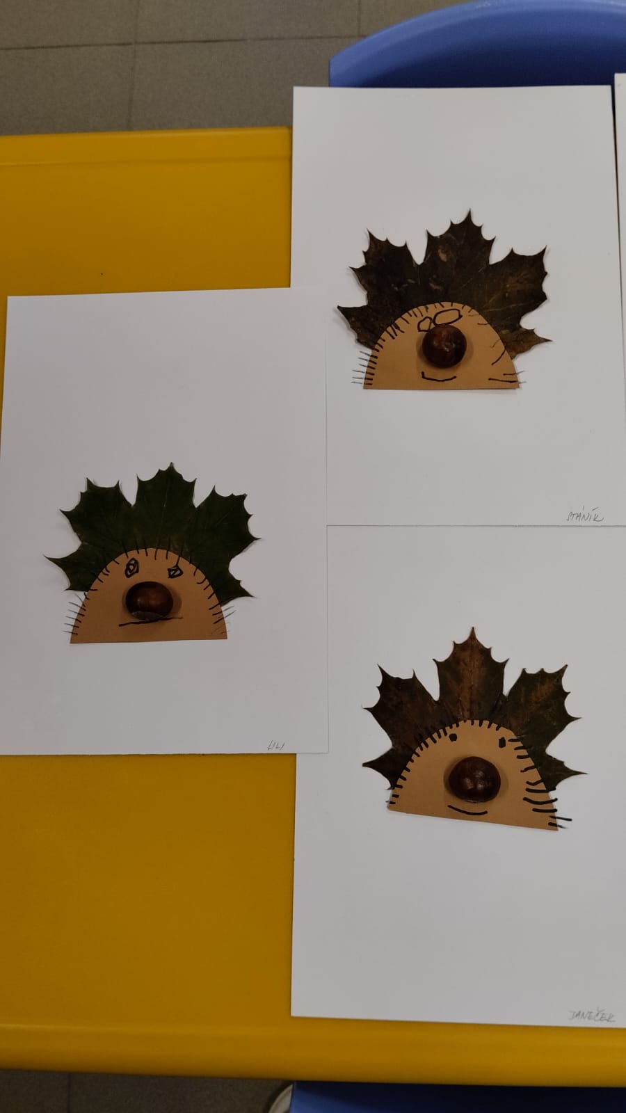 5b0799b4-0801-44a5-ac21-8f673ad246e3